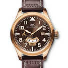 IWC Aviateur Classics Antoine de St Exupery IW326103 Watch - iw326103-1.jpg - blink